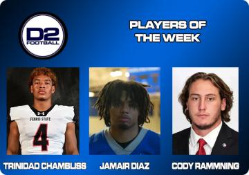 D2Football.com Players of the Week